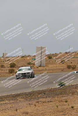 media/May-03-2025-Lucky Dog Racing (Sat) [[206de64b9d]]/Turn 6 (150pm-230pm)/